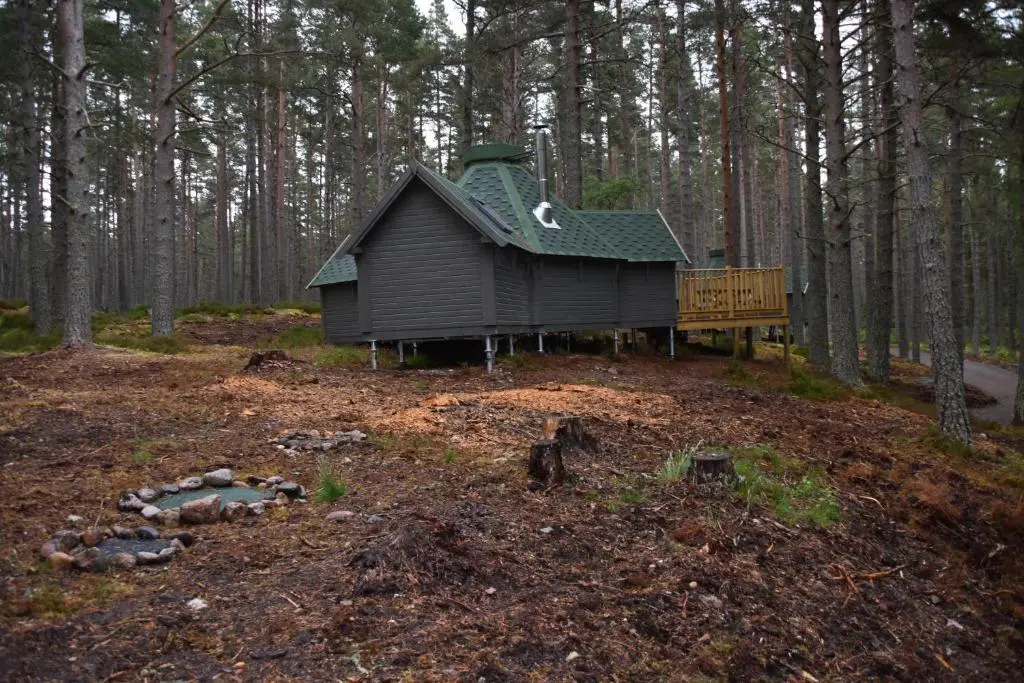 a small house in the middle of a forest at Cairngorm Bothies in Aboyne