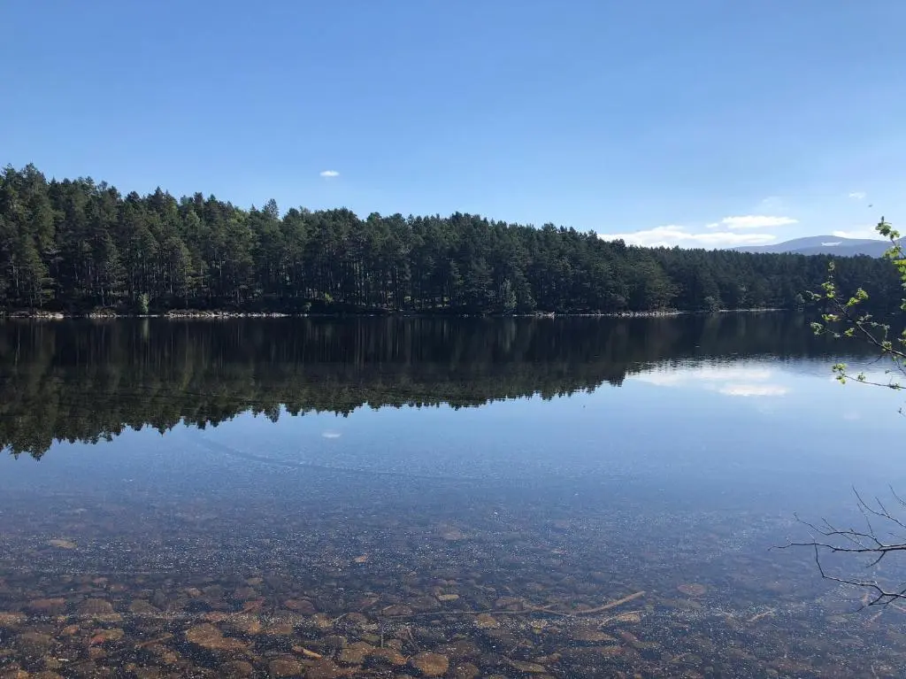 a view of a lake with trees in the background at 81 The Heathers, Aviemore Holiday Park , Dalfaber rd Aviemore PH22 1PX in Aviemore