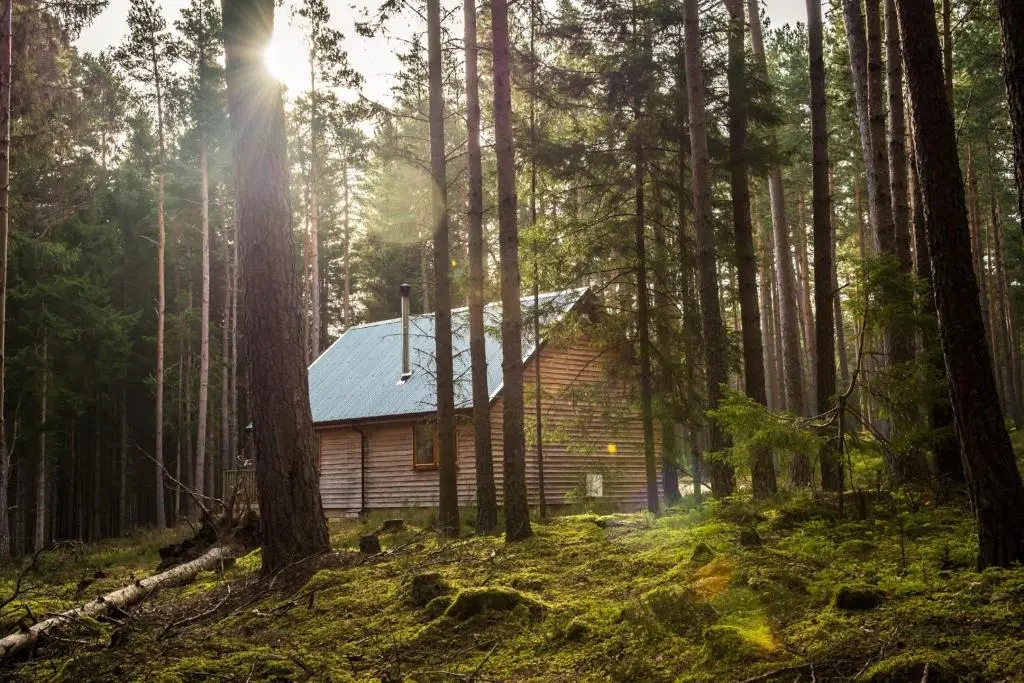 a cabin in the woods with the sun shining through the trees at Cairngorm Lodges in Aboyne