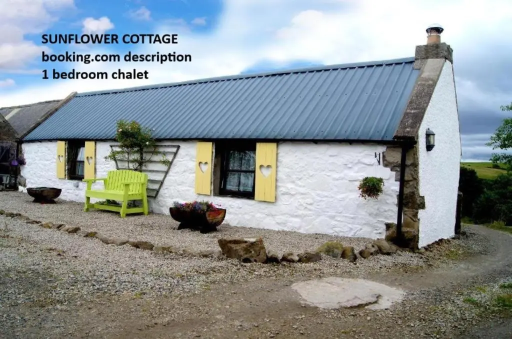 a small white cottage with a green chair in front of it at Deveron Valley Cottages in Marnoch