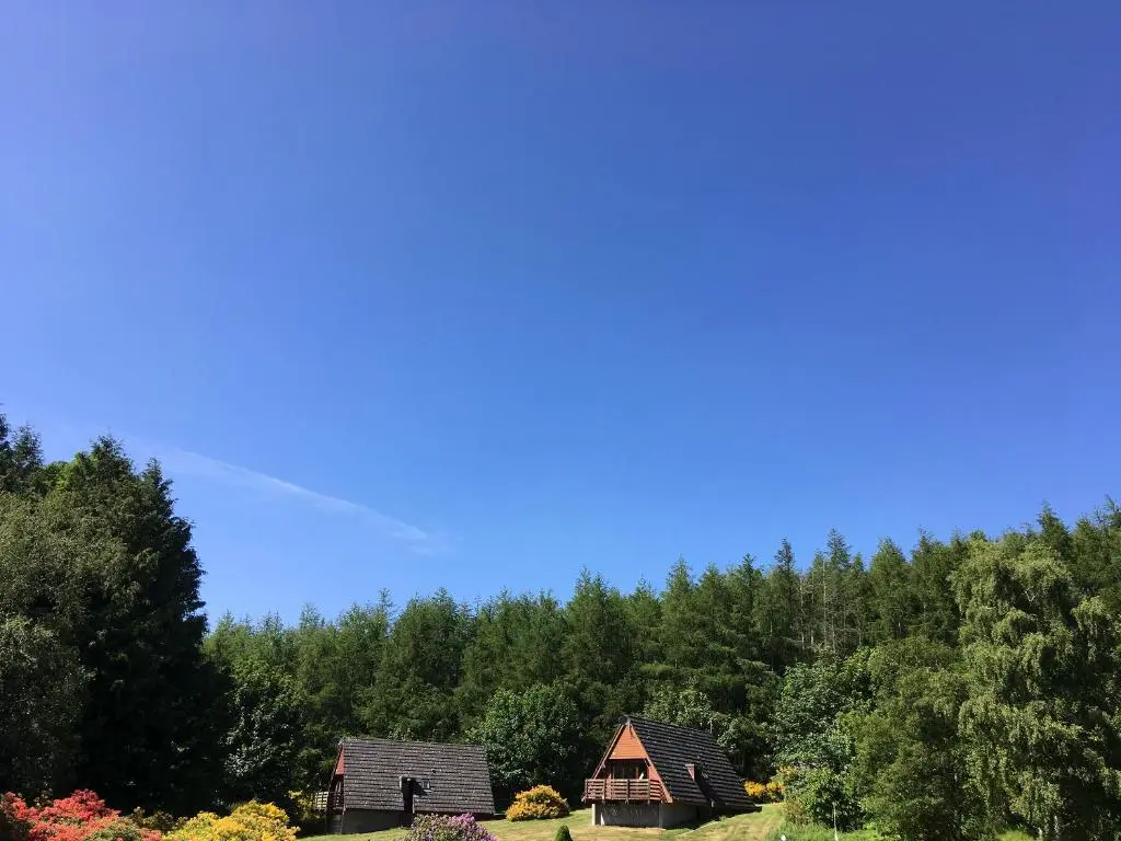 a group of houses in the middle of a forest at Thistle Lodge - Uk7051 in Glenurguhart