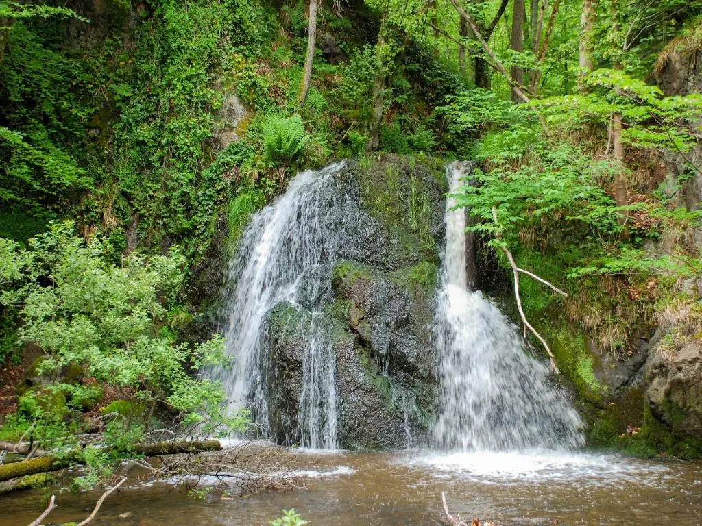 a waterfall in the middle of a forest at Thistle Lodge - Uk7051 in Glenurguhart