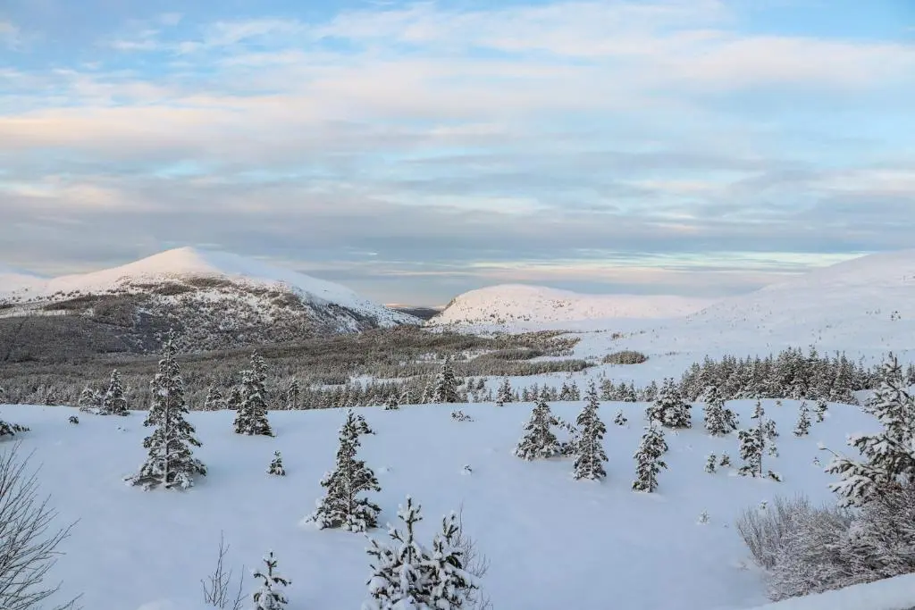 a snowy field with trees and snow covered mountains at Otter Lodge in Kingussie