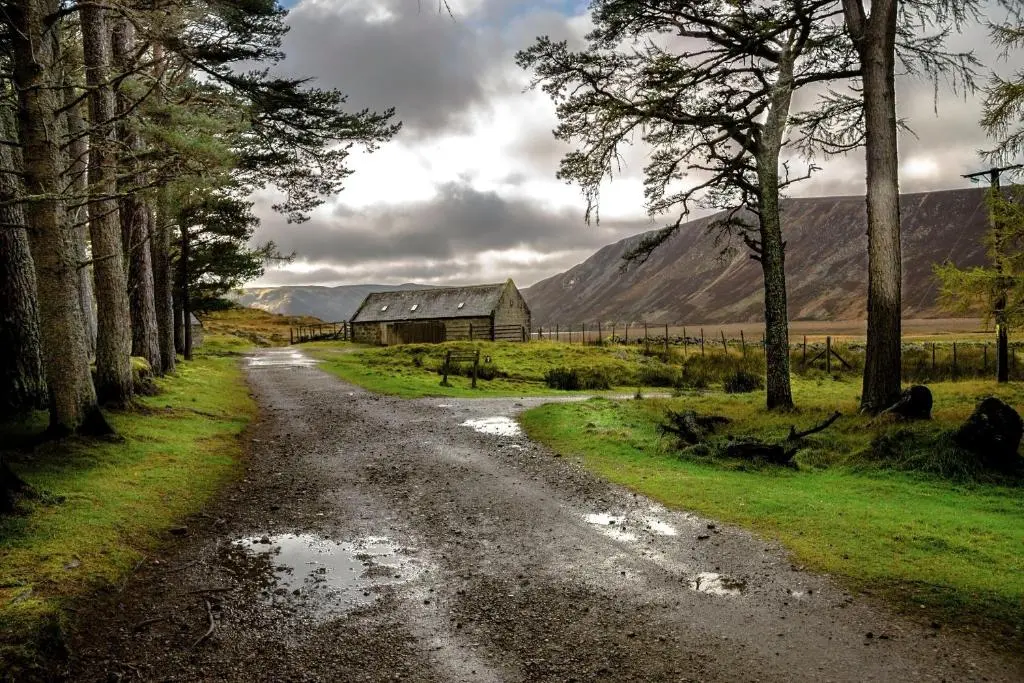 a dirt road with a barn and trees on the side at Otter Lodge in Kingussie
