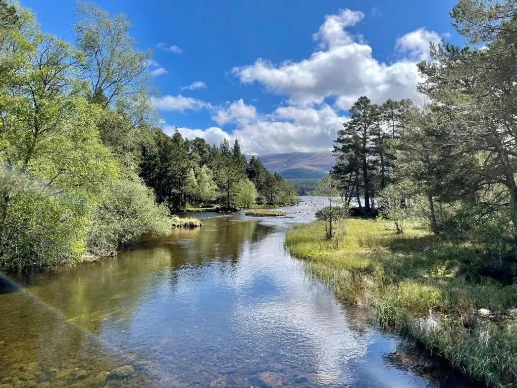 a river with trees on the side of it at Mountain Hare Apartment in Kingussie