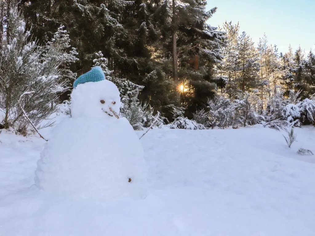 a snowman wearing a blue hat in the snow at Osprey Apartment in Kingussie