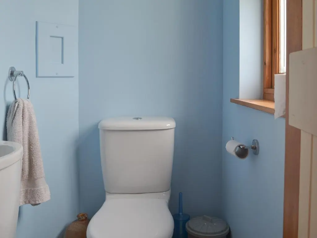 a bathroom with a white toilet in a blue room at Crofts in Badenyon