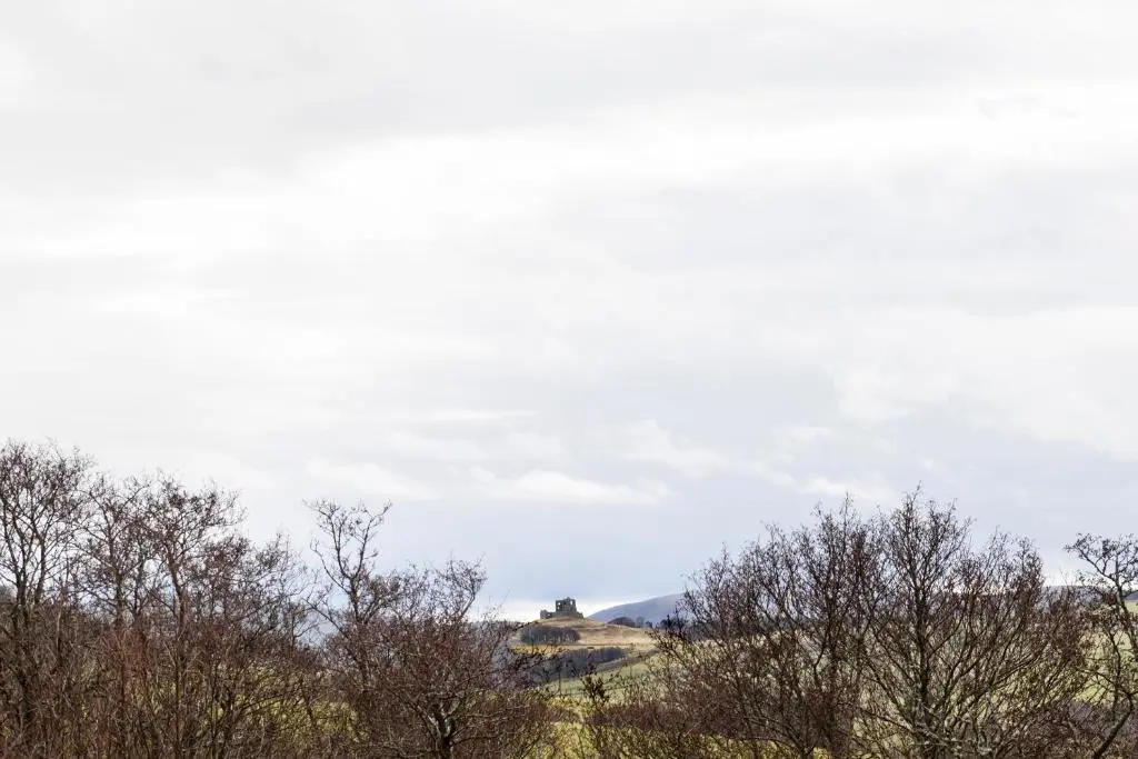 a group of trees with a building in the background at The Milking Sheds, Dufftown in Dufftown