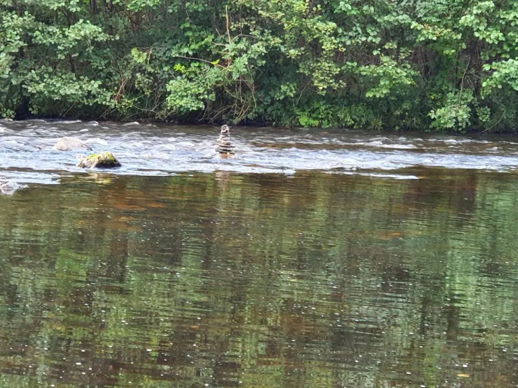 a bird standing in the water in a river at Herons Rest in Drumnadrochit