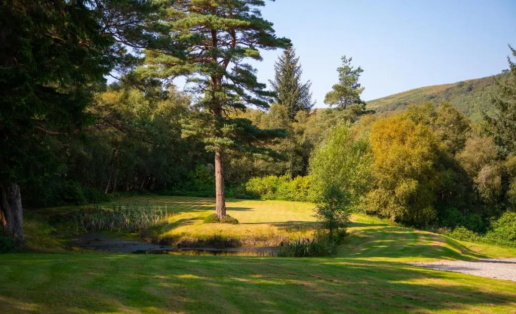a golf course with trees and a pond at Inveroykel Lodge at Rosehall in Rosehall