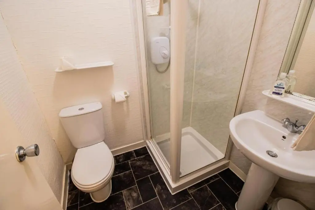 a bathroom with a toilet and a shower and a sink at The Ben Mhor Hotel, Bar & Restaurant in Grantown on Spey