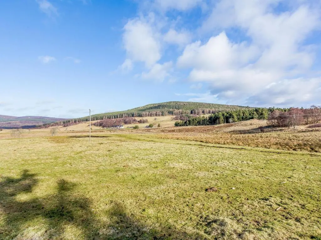 a field of grass with a hill in the background at Knocknahighle in Cromdale