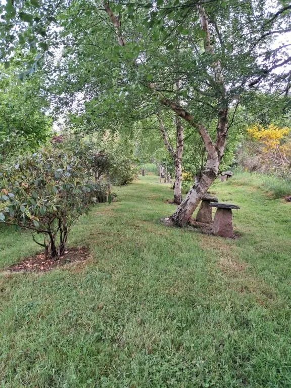 a park with a bench next to a tree at Boghead Cottage: Holiday Cottage in Royal Deeside in Banchory