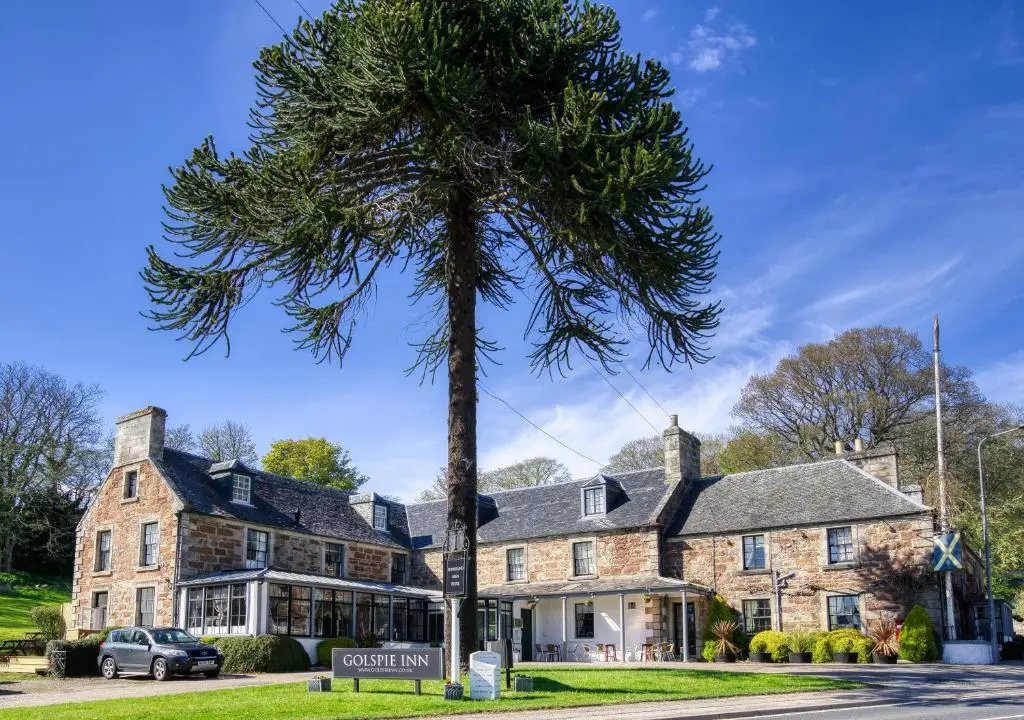 a palm tree in front of a building at Golspie Inn in Backies