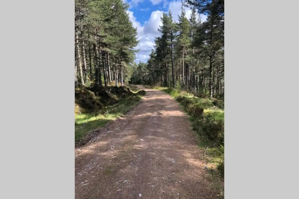 a dirt road with trees on both sides at The Annex at Bonnieview in Inverness