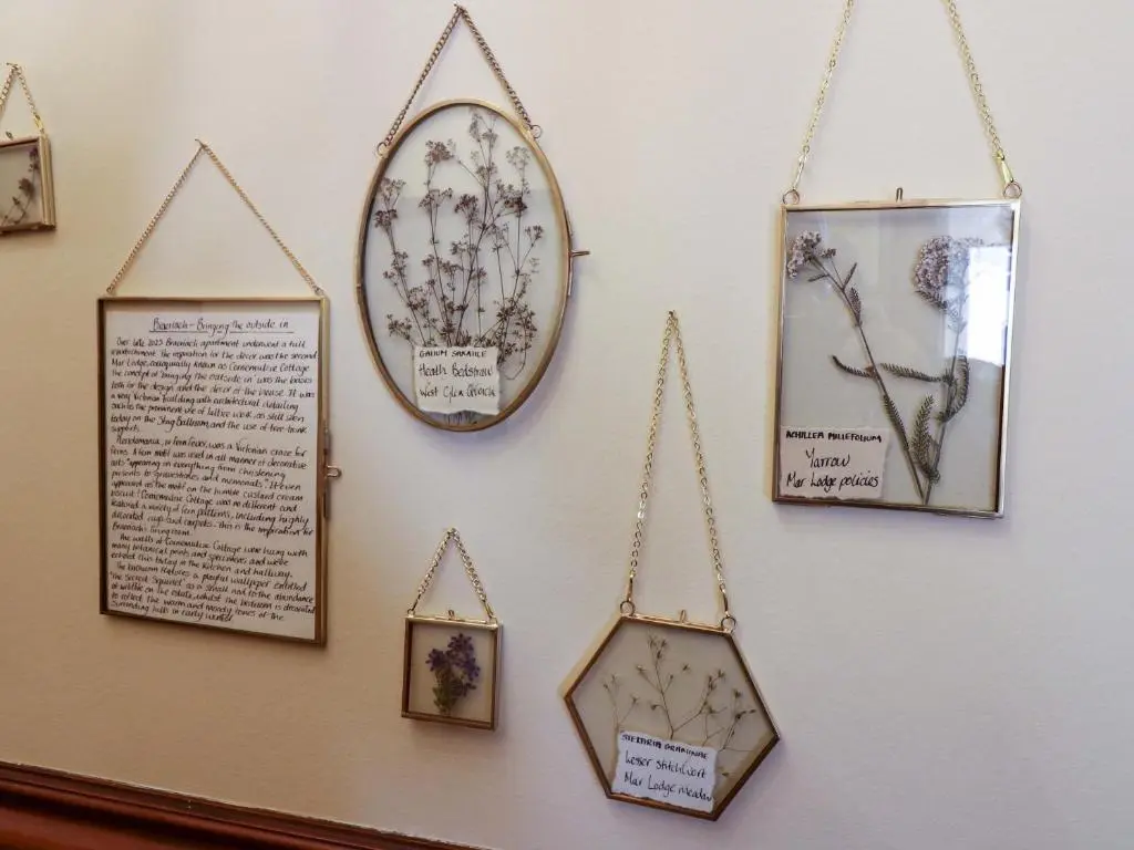 a wall with framed pictures of trees on it at Braeriach - Mar Lodge Estate in Ballater