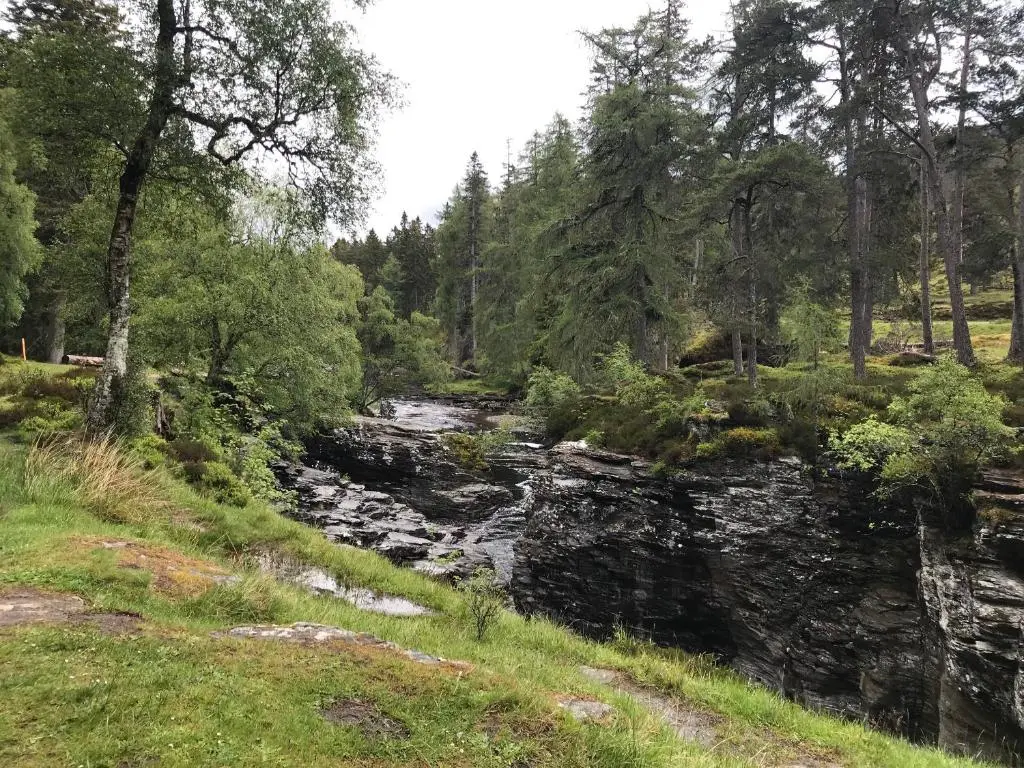 a river in the middle of a forest at Braeriach - Mar Lodge Estate in Ballater