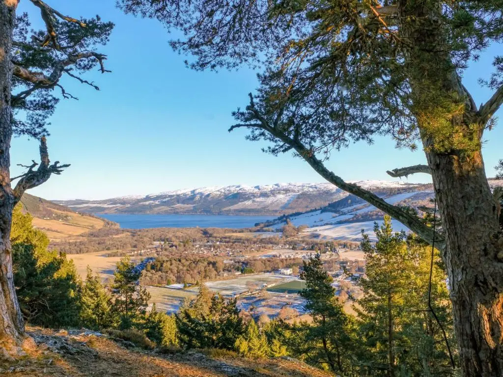 a view from the top of a hill with trees at Chalet Rowan Cottage by Interhome in Inverness