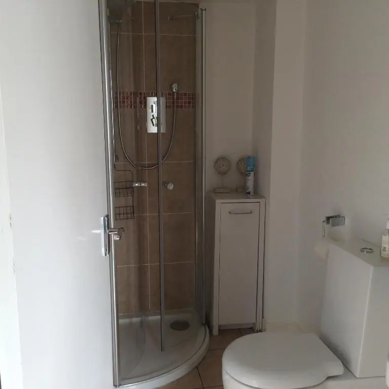 a bathroom with a shower and a toilet at PetFriendly-Beachfront-SunsetFacingSunPorch-Garden in Portmahomack