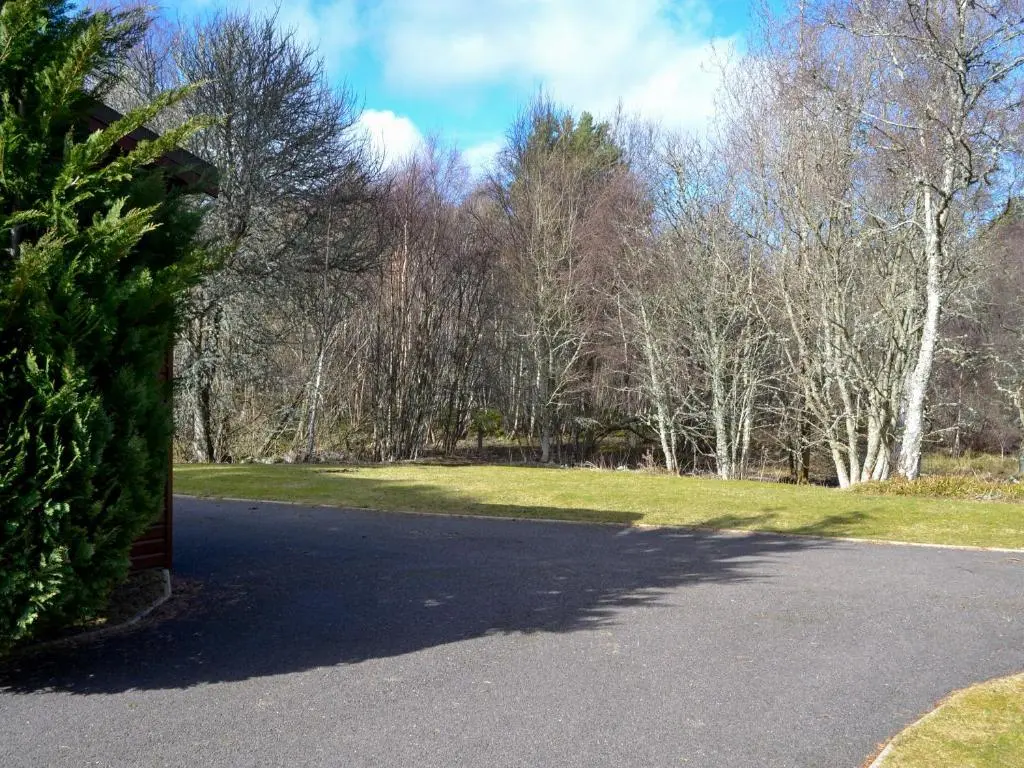 a road in a park with trees in the background at Lodge G- Uk33093 in Dinnet