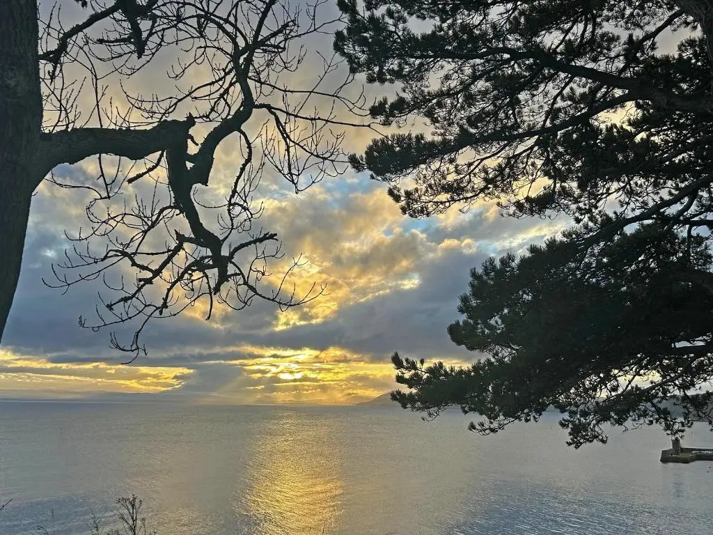 a sunset over a body of water with trees at The Shore in Fortrose