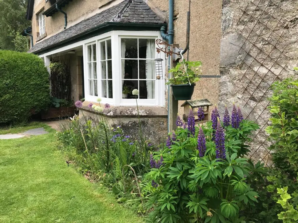 a garden in front of a house with purple flowers at Rowan Cottage, CrannachCottages in Garve