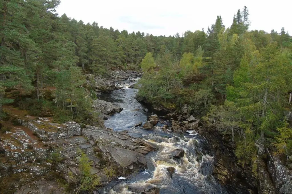 a river in the middle of a forest at Rowan Cottage, CrannachCottages in Garve