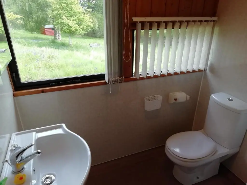 a bathroom with a toilet and a sink and a window at Highland Lodge in Kilmorack