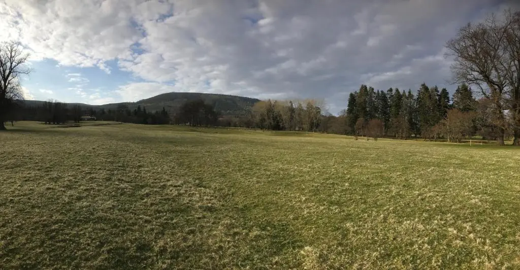 a large field of grass with a mountain in the background at Braemoray in Evanton