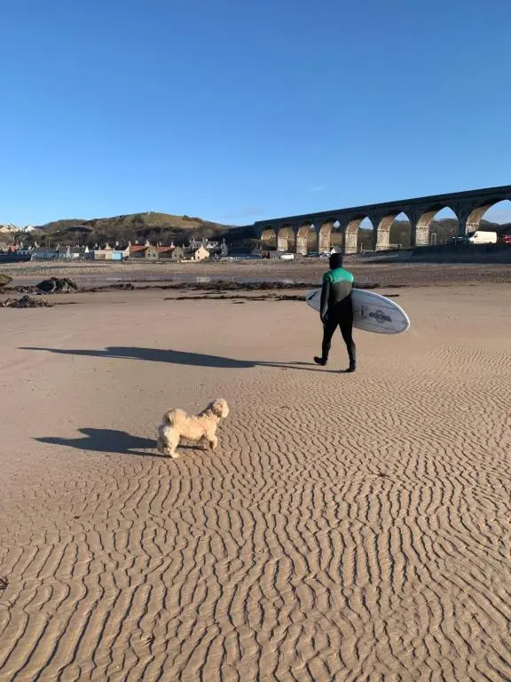 a man and a dog walking on a beach with a surfboard at Pear Tree Cottage in Cullen
