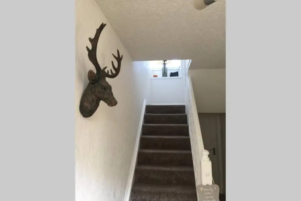 a deer head on a wall next to a staircase at Craigewan Cottage Seatown Cullen in Cullen
