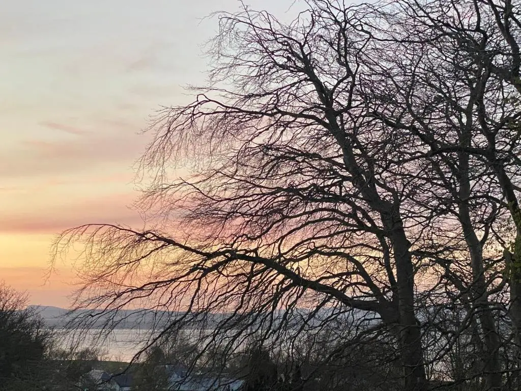 a tree with no leaves in front of a sunset at Little Woodbine in Tain