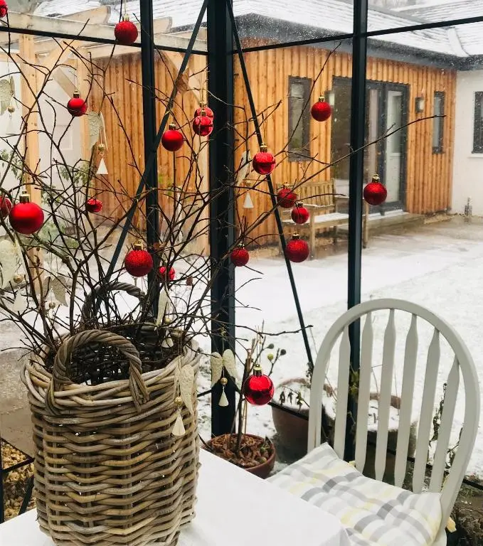 a basket of red fruit on a table with a tree at Garden Retreat - City Central Quiet Garden Apartment with Free Parking in Inverness