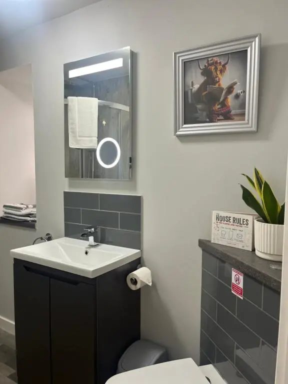 a bathroom with a sink and a toilet at Shore Street Apartments in Inverness