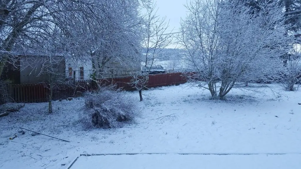 a yard covered in snow with trees and a fence at Tanleys B&B in Grantown on Spey