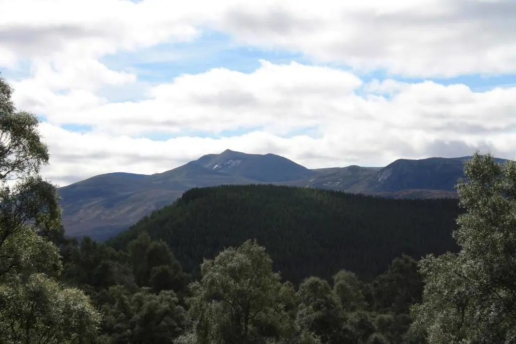 a view of a forest with a mountain in the background at The Boat Inn in Aboyne