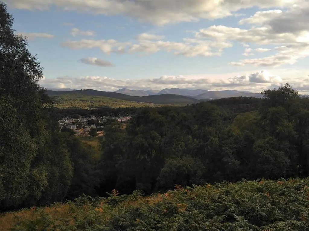 a view of a forest with mountains in the distance at The Cottage Bogroy in Carrbridge