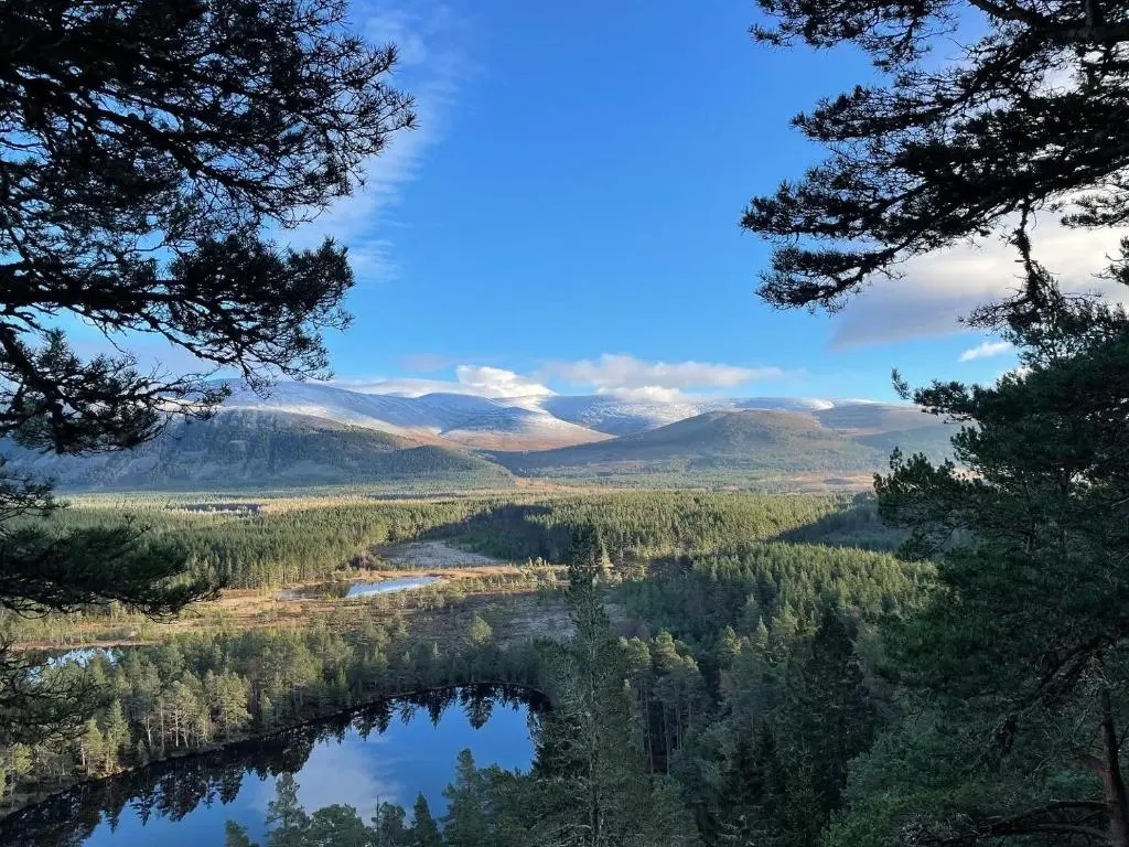 a view of a river with trees and mountains at Woodside retreat holiday home in Aviemore in Aviemore