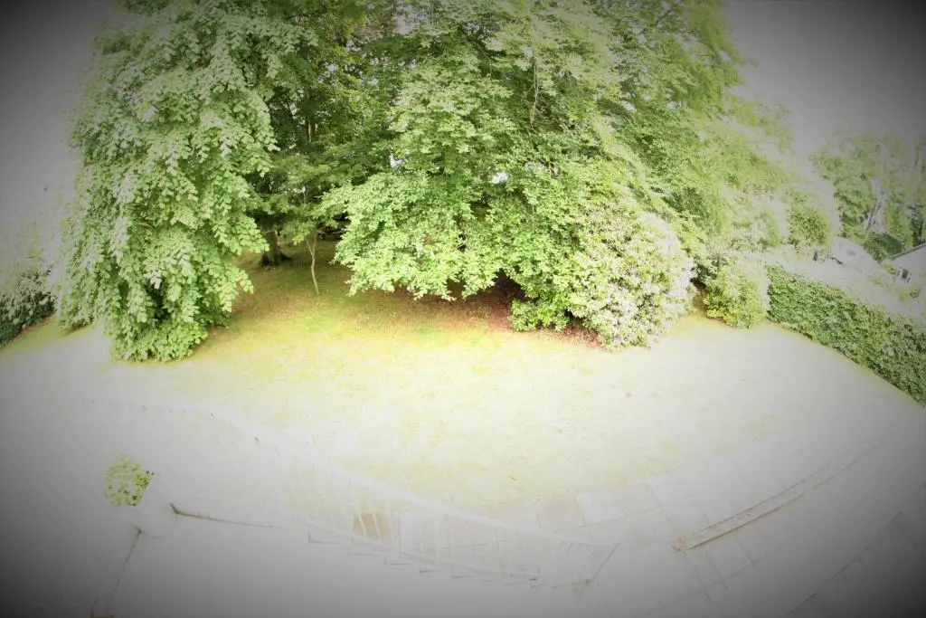 an overhead view of a beach with trees and water at Macallen in Nairn