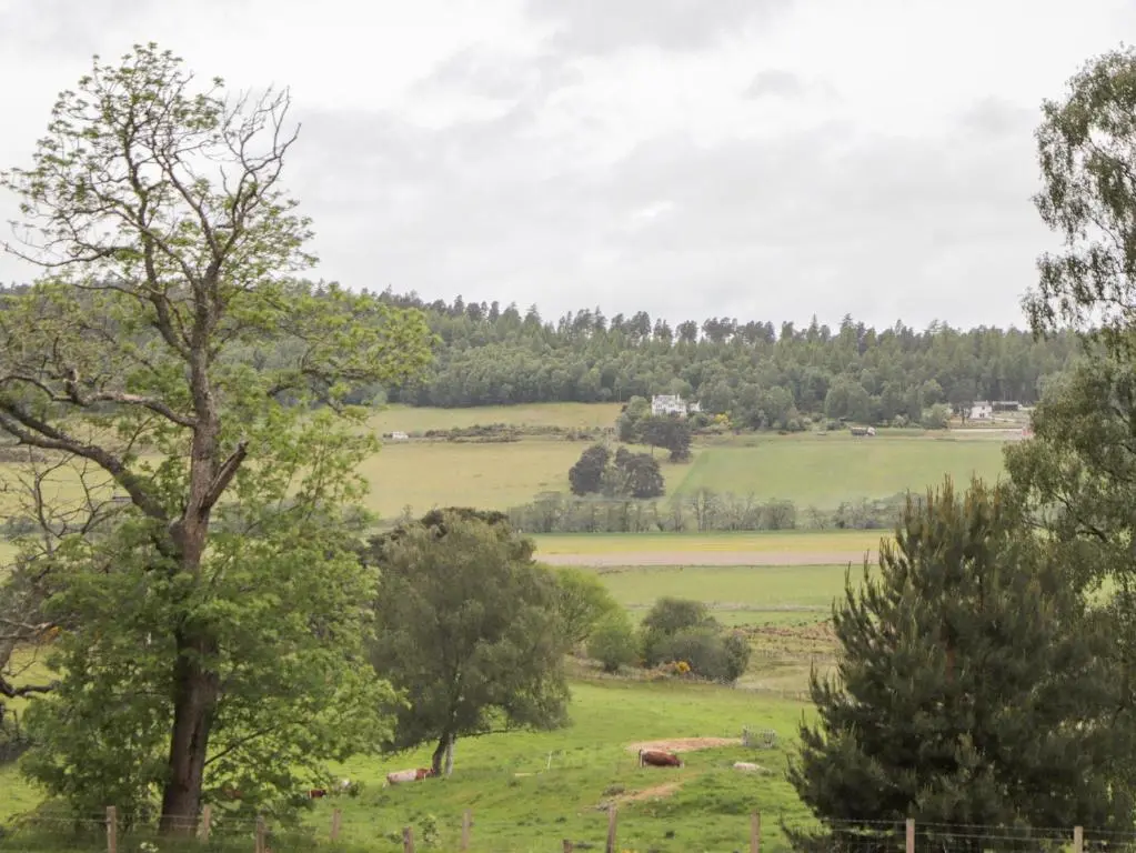 a view of a field with trees in the foreground at Culreach Lodge in Grantown on Spey