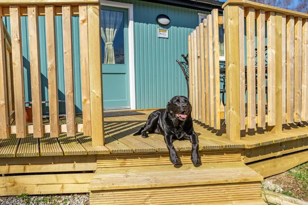 a black dog laying on a wooden deck at Heather Lodge 17 with Hot Tub in Belladrum