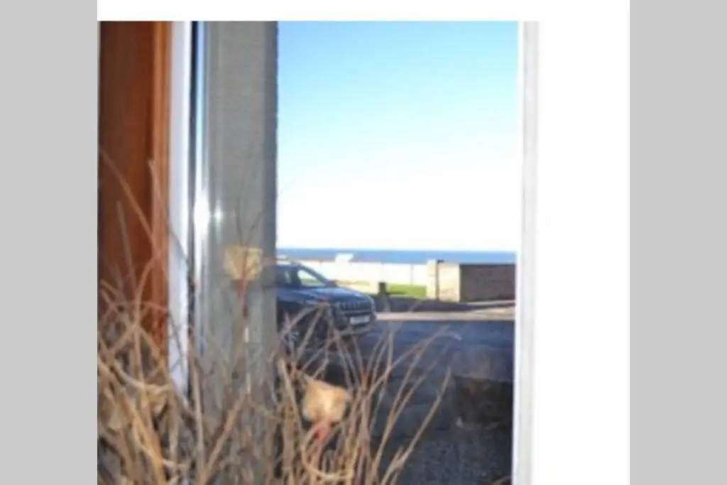 a cat is looking out of a window at Preston Villa, spacious ground floor apartment in Buckie