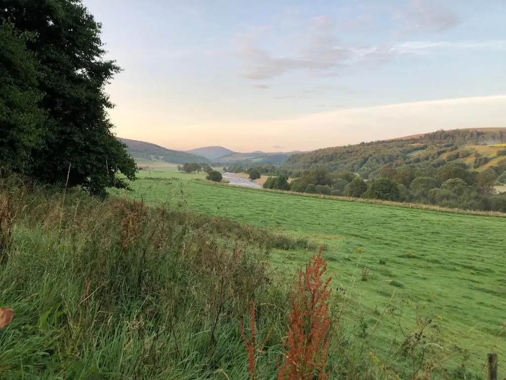 a field of grass with a river in the distance at Nurse's Cottage in Tomintoul