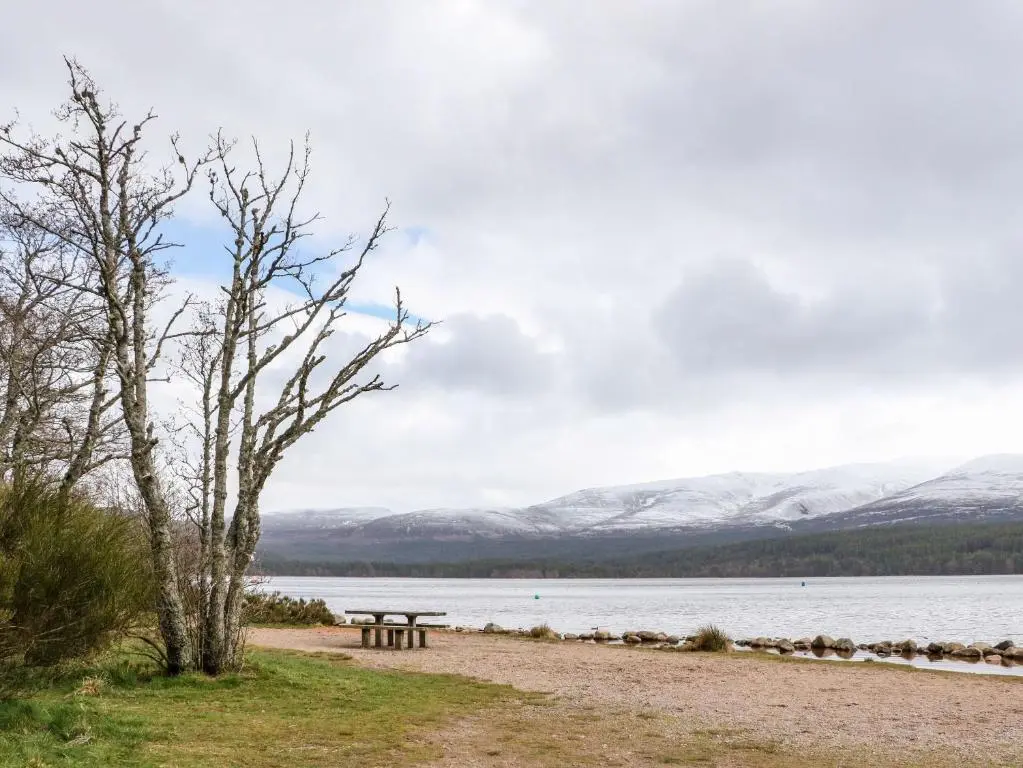 a picnic table and a tree next to a body of water at Mary Ann Villa in Inverness