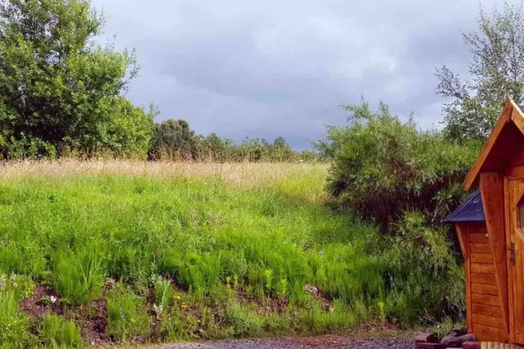 a field of tall green grass next to a woodenshed at Unique luxury cabin in Inverness