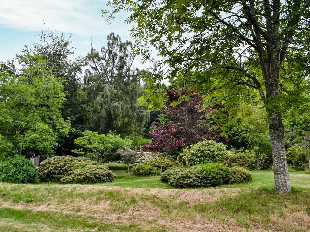 a garden with trees and bushes at Corrennie School Cottage in Whitehouse