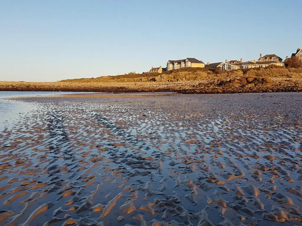 a beach with a bunch of fish in the water at Aurora in Lossiemouth