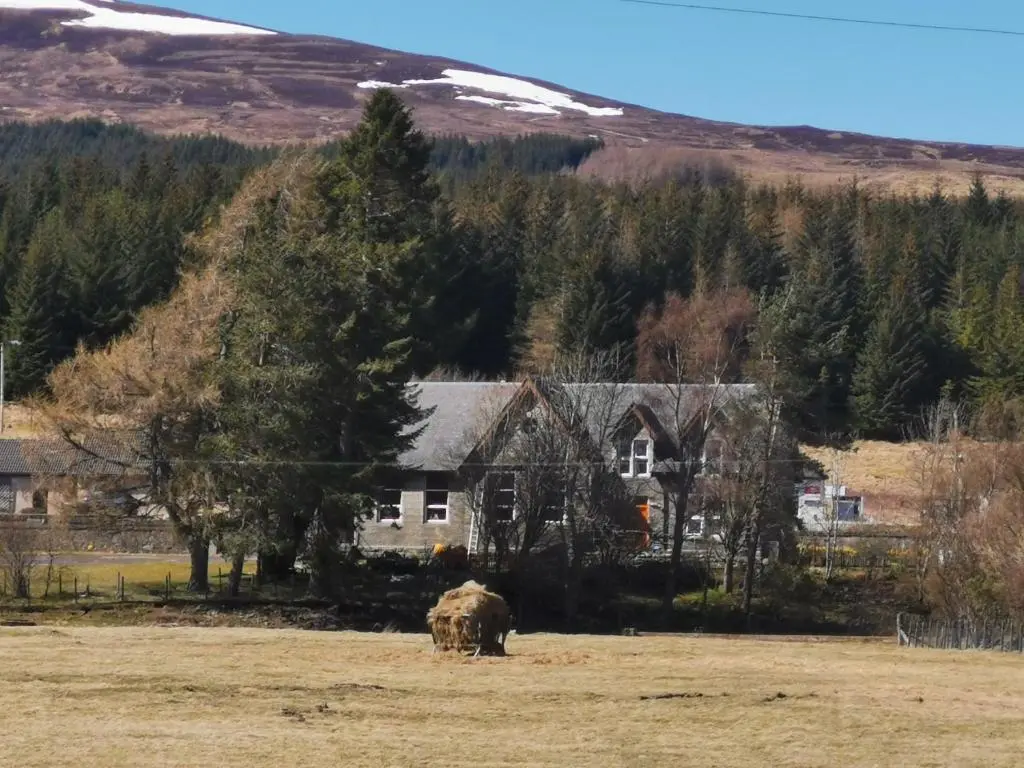 an elephant standing in a field in front of a house at Dalwhinnie Old School Hostel in Dalwhinnie