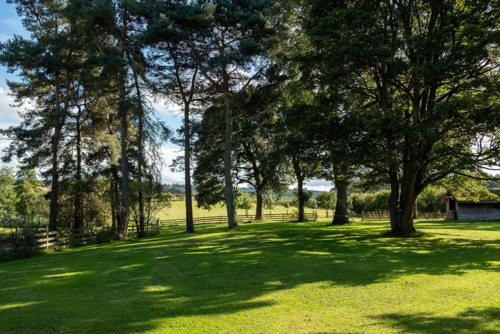 a field of grass with trees and a fence at Marcassie Farm Lodges - Ash Studio in Forres