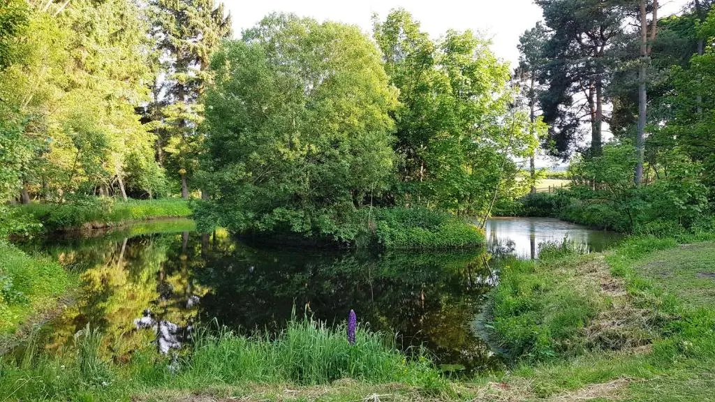 a pond in a park with trees and grass at Marcassie Farm Lodges - Ash Studio in Forres